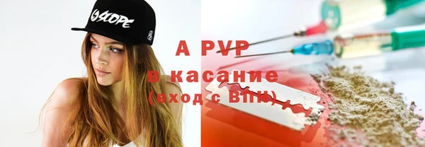 гашик Арсеньев