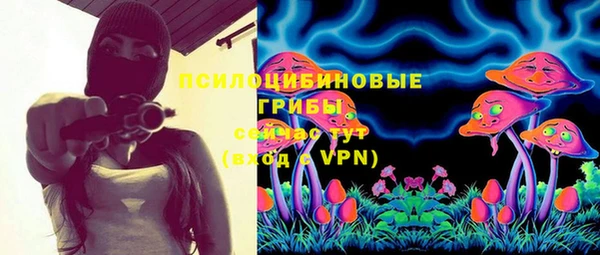 гашик Армянск
