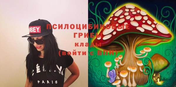 гашик Арсеньев