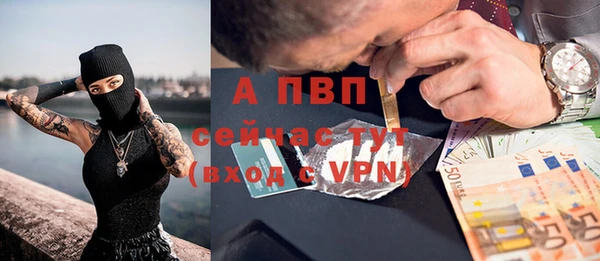 гашик Арсеньев